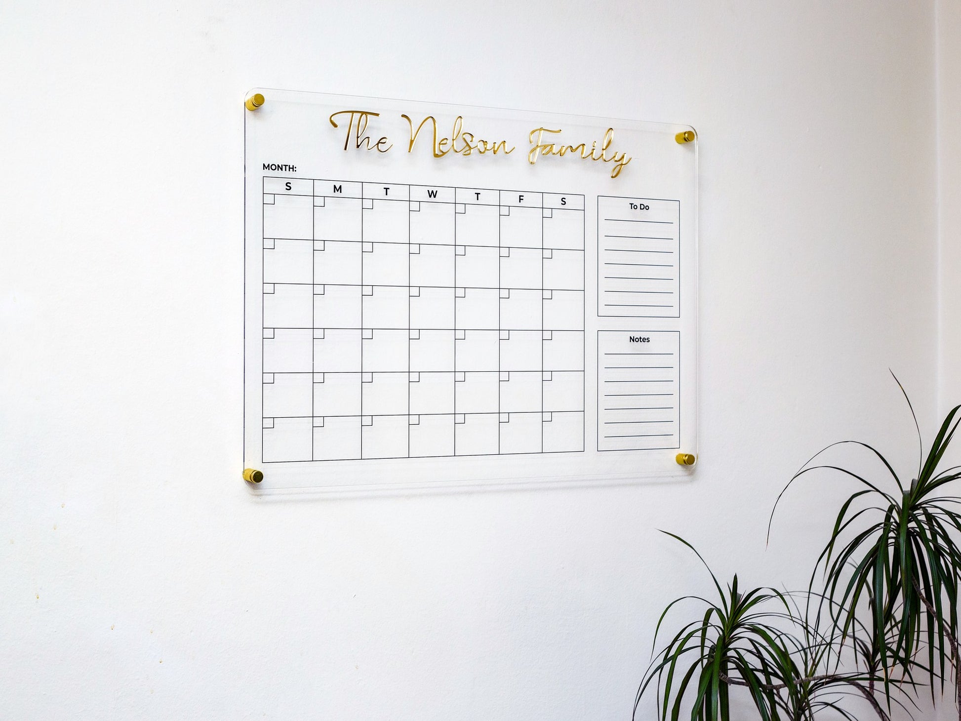 Acrylic wall calendar in a living room with a plant