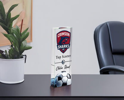 Personalized acrylic soccer trophy with Top Scorer award title